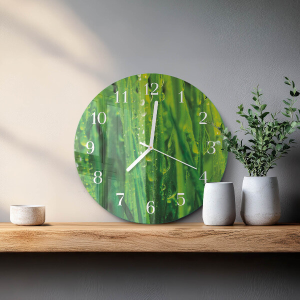 Glas wanduhr Gras