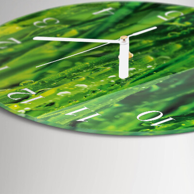 Glas wanduhr Gras
