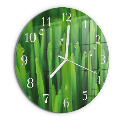 Glas wanduhr Gras