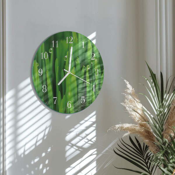 Glas wanduhr Gras