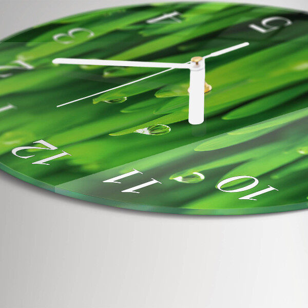 Glas wanduhr Gras