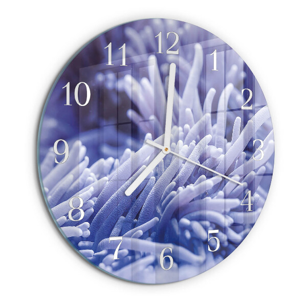 Glas wanduhr Anemone