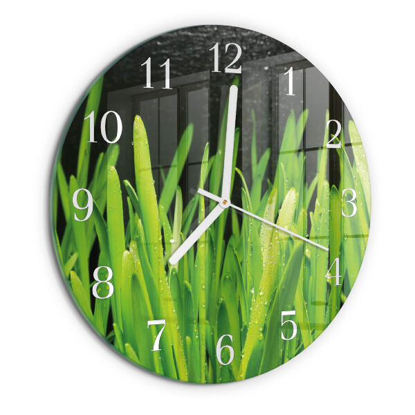 Glas wanduhr Gras