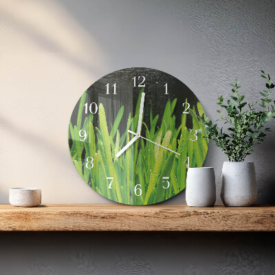 Glas wanduhr Gras