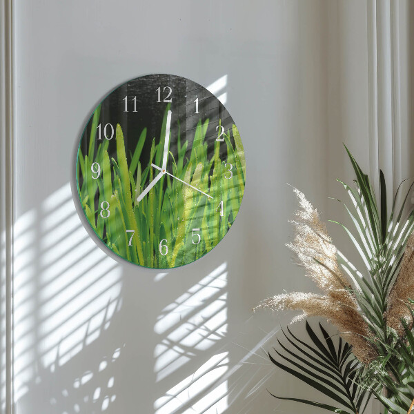 Glas wanduhr Gras