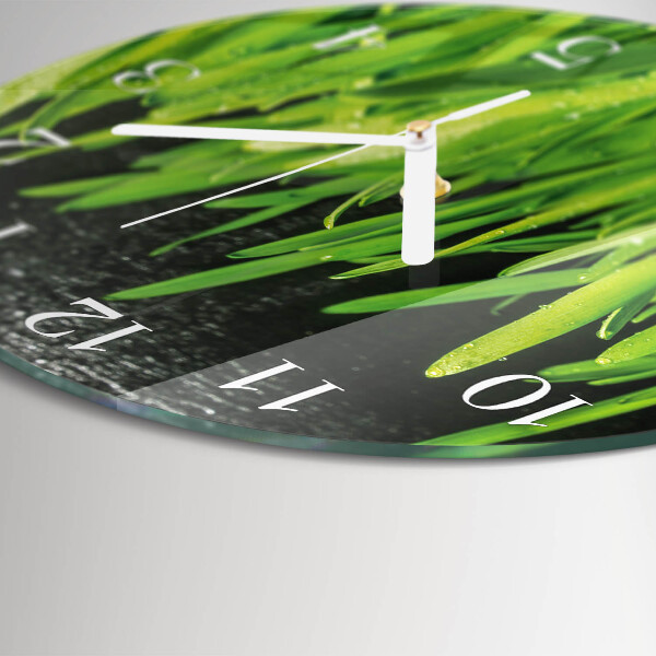 Glas wanduhr Gras