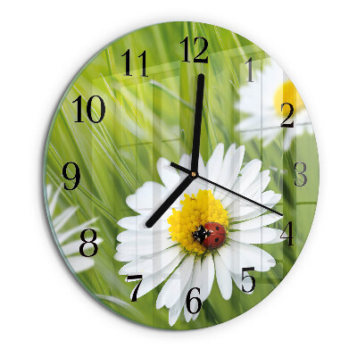 Wanduhr rund Gänseblümchen
