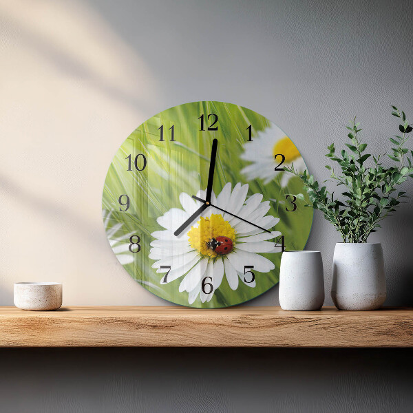 Wanduhr rund Gänseblümchen