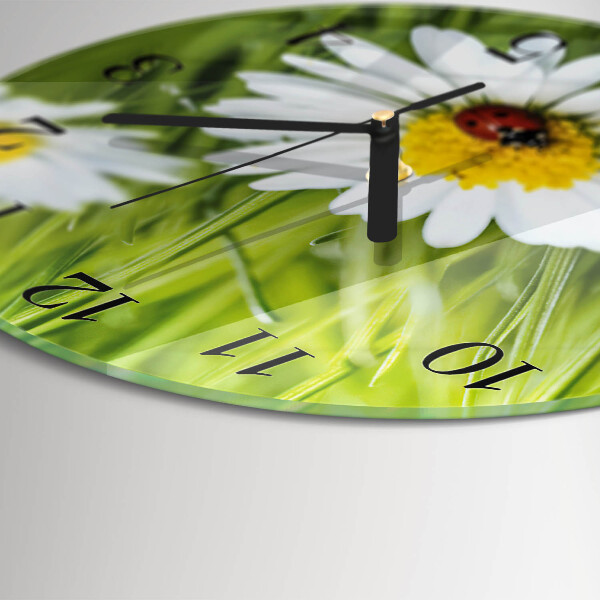 Wanduhr rund Gänseblümchen