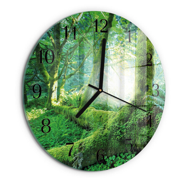 Wanduhr rund Waldmoos