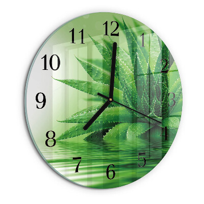 Wanduhr rund Aloe