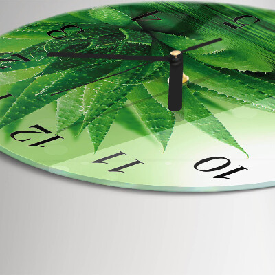 Wanduhr rund Aloe