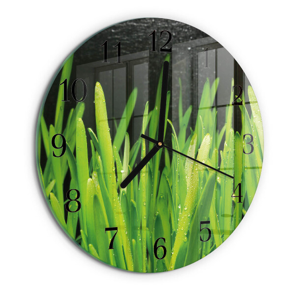 Wanduhr rund Gras