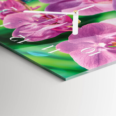 Vertikale Uhr Orchideen