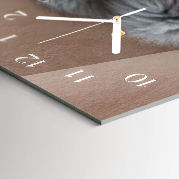 Horizontale Uhr Perserkatze