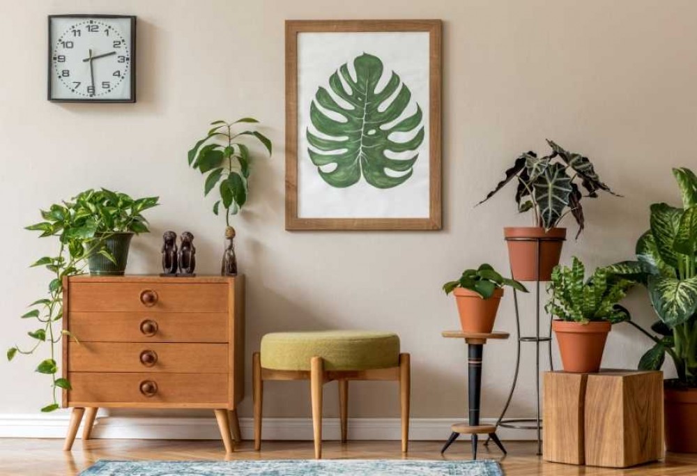 beste Luftreinigungspflanzen